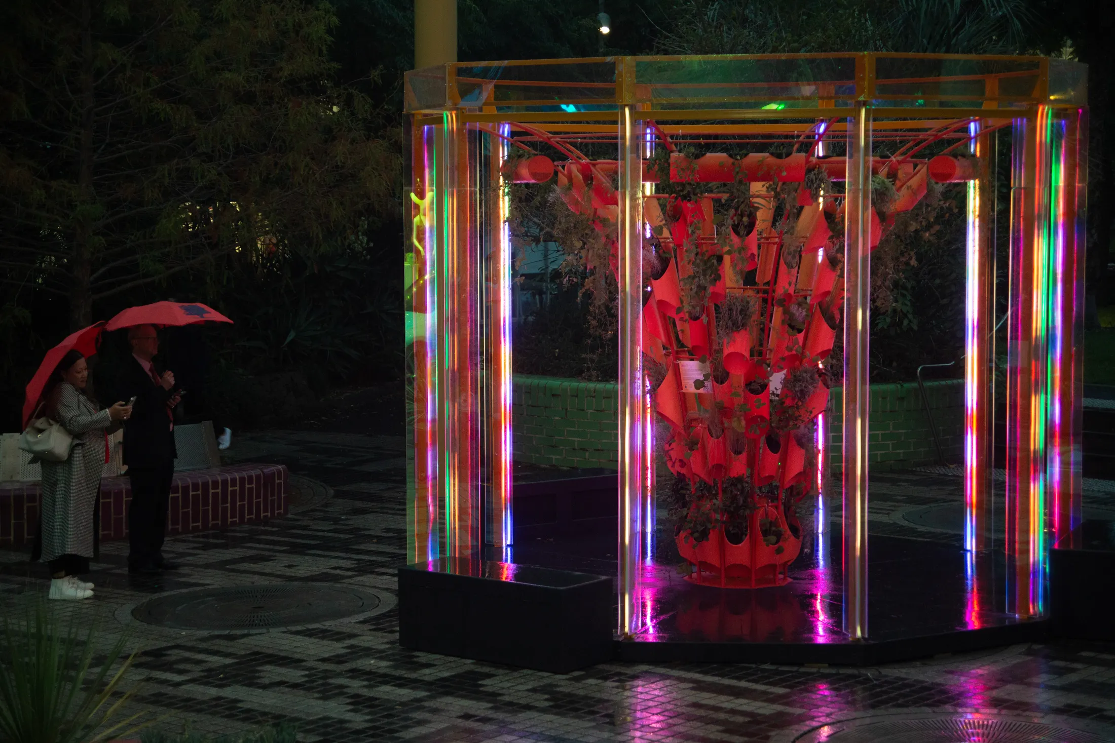 BioRhythm lit up in the rain at Grattan Gardens, Prahran