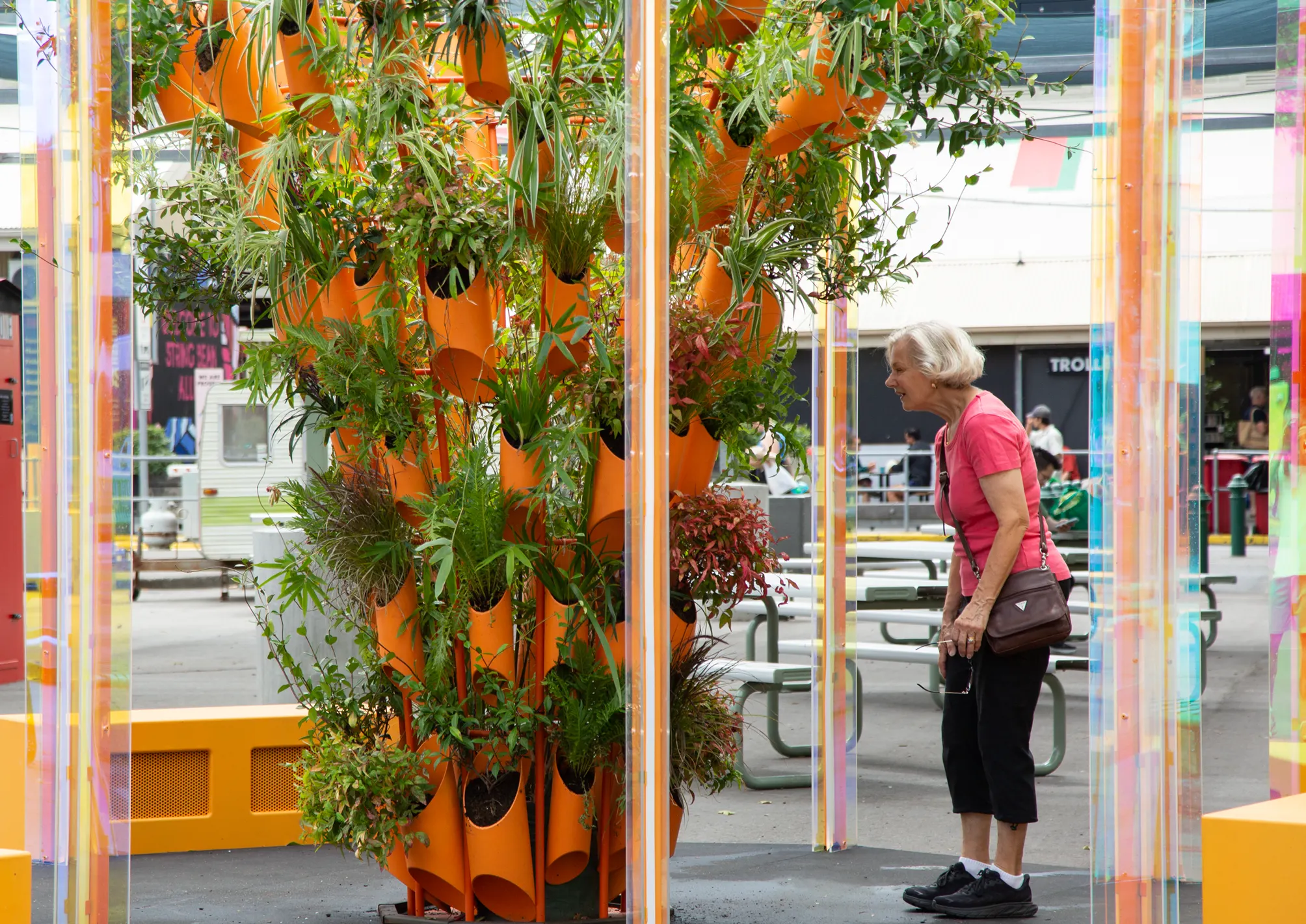 A visitor leaning in to read a plant label