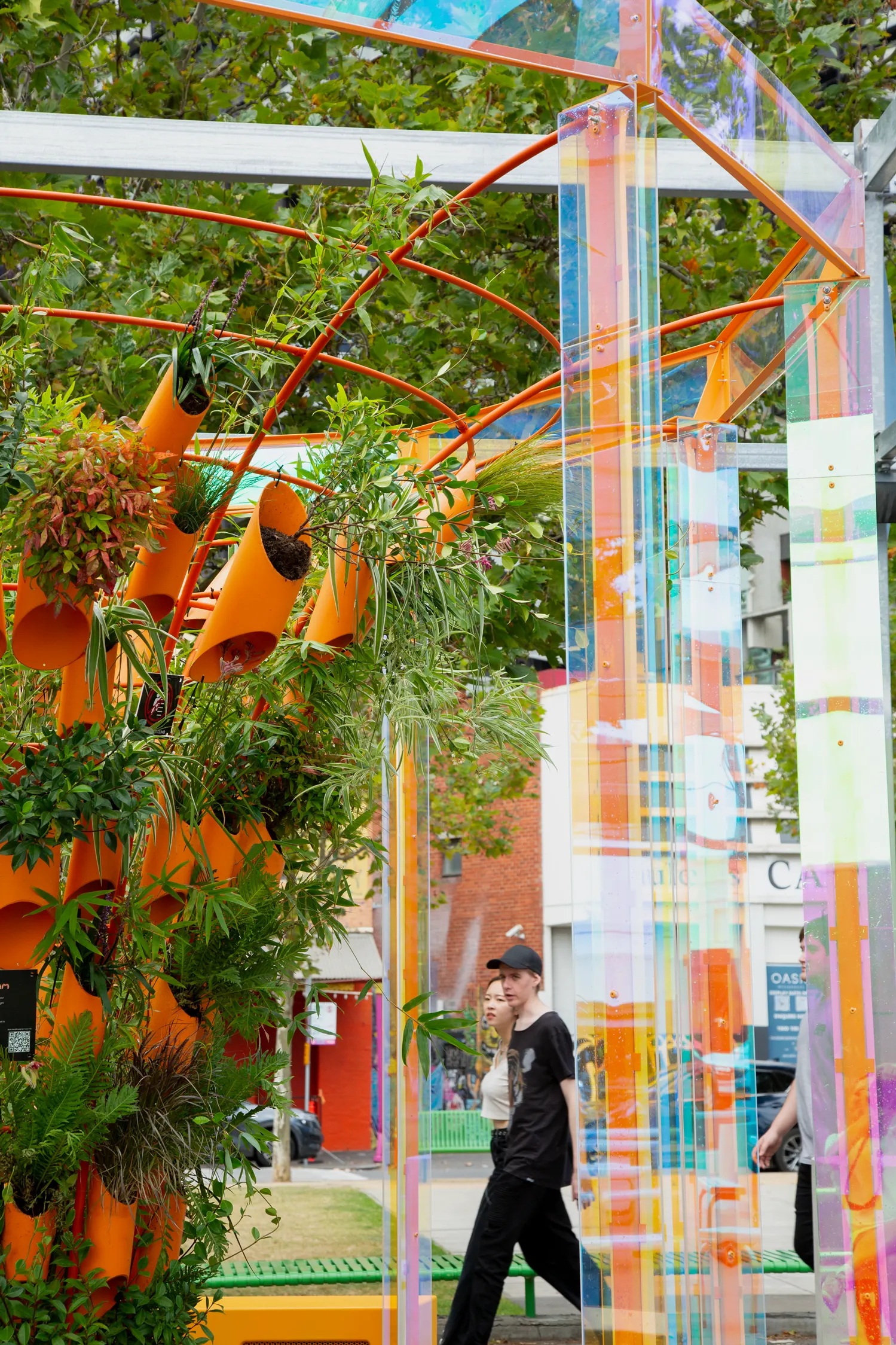 Close-up of plants spilling from orange tubes