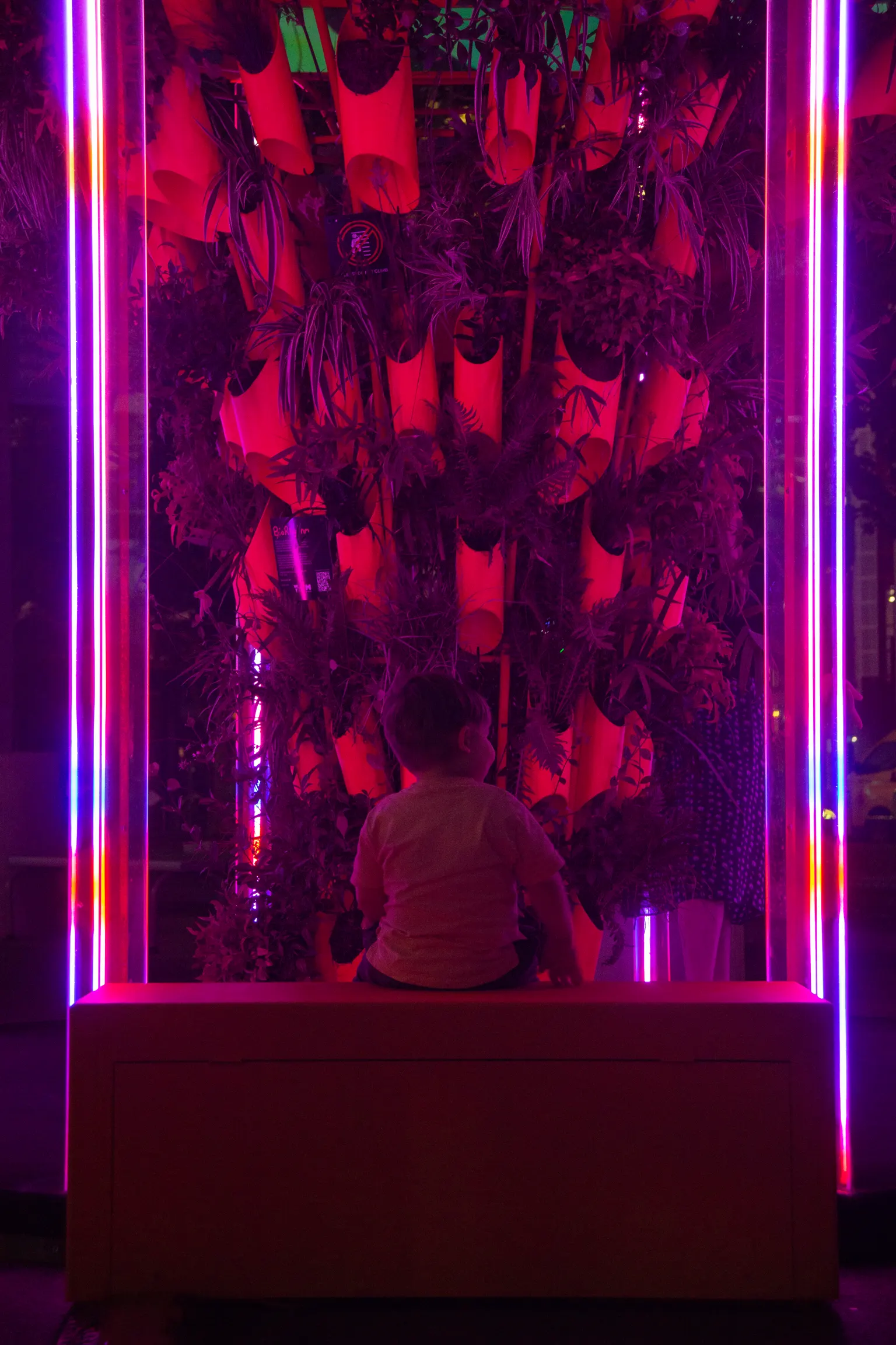 A child sits inside the glowing red cocoon of plants